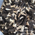 100% Wild Morel fungo / spugnole fresche / morchella esculenta